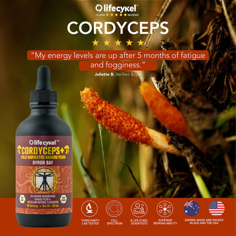 Cordyceps