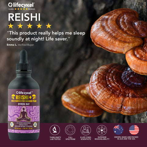 Reishi