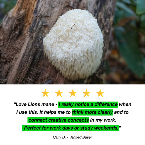 Lions Mane Mushroom Extract