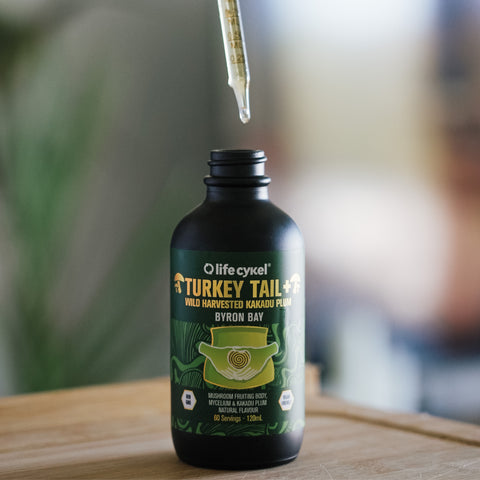 Turkey Tail Mushroom Extract