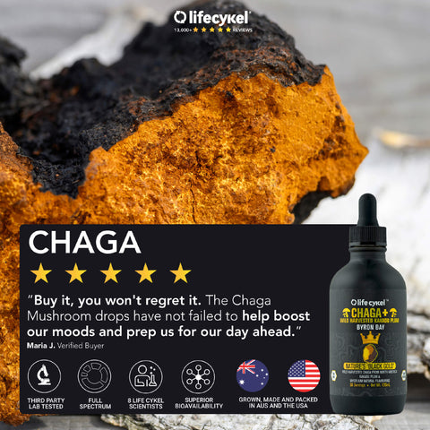 Chaga Mushroom Extract