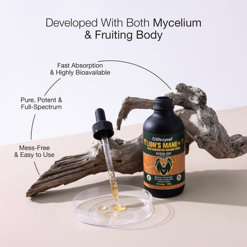 Lions Mane Mushroom Extract