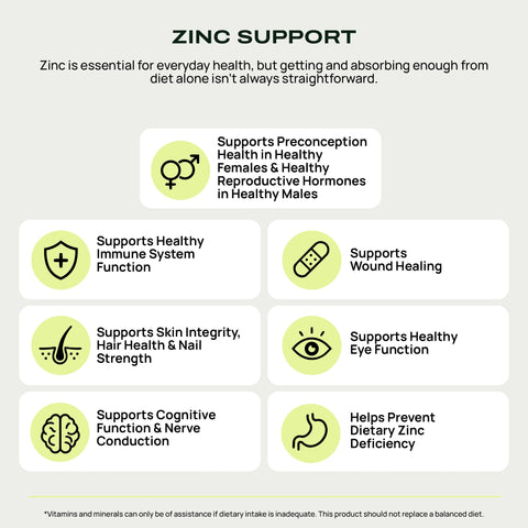 An infographic titled 'ZINC SUPPORT' with explanatory text and six light green circular icons paired with benefit callouts for zinc, such as immune system support, wound healing, skin integrity, eye function, cognitive function, and prevention of deficiency.