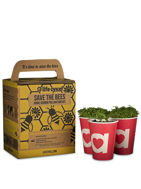 Bee Pollination Grow Kit