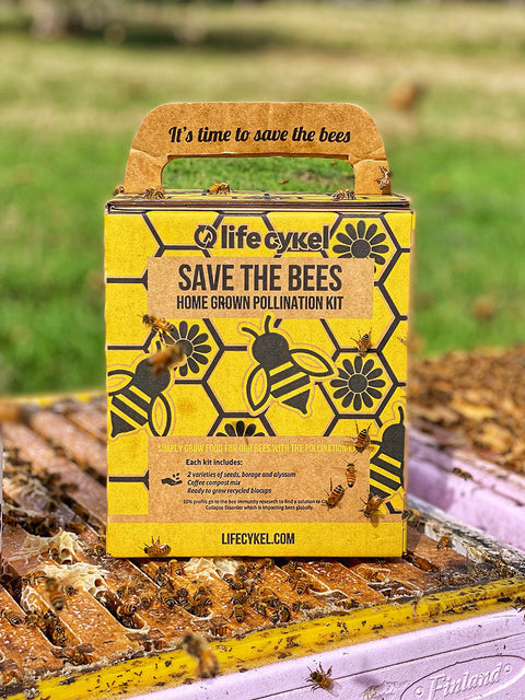 Bee Pollination Grow Kit